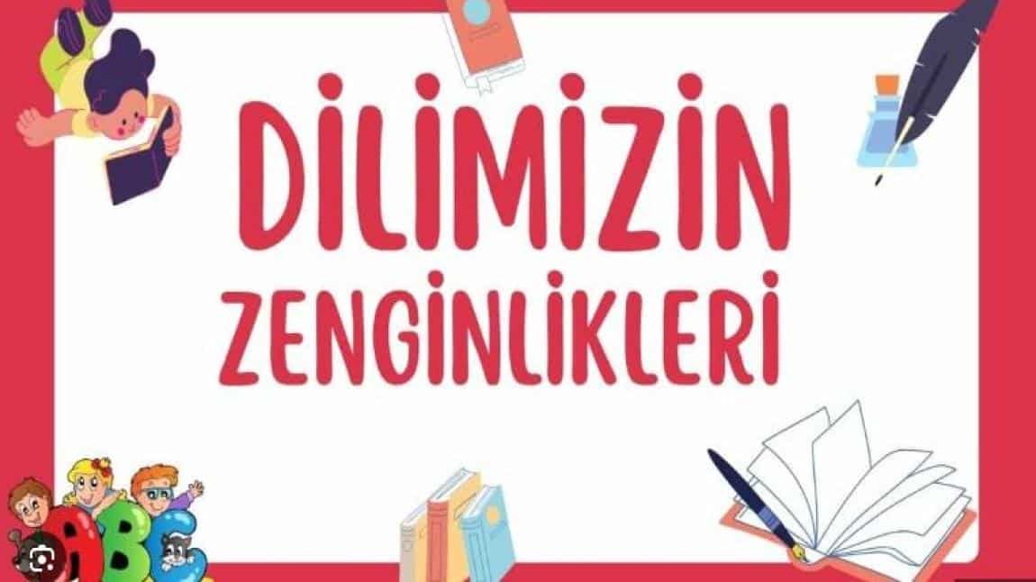 DİLİMİZİN ZENGİNLİKLERİ